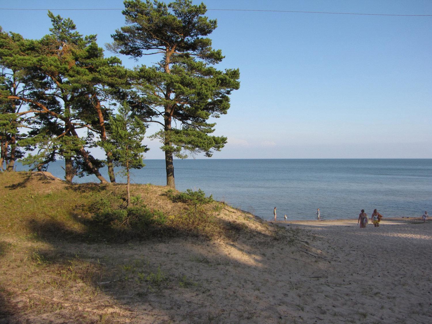 Mandjala Puhketalu - Cottages Kültér fotó
